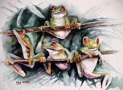 Aquarelle